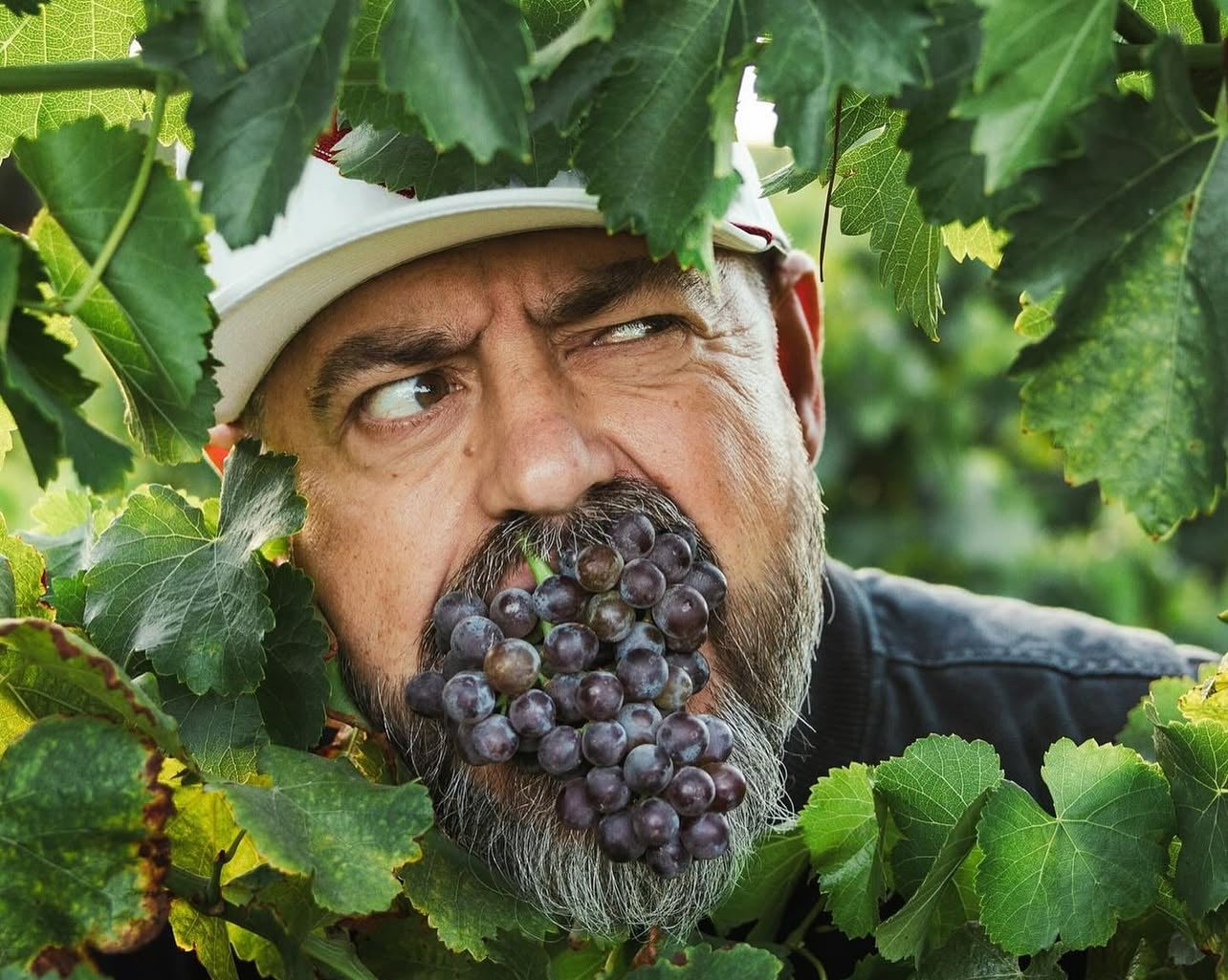 Chapters Volume Four: Keith Saarloos