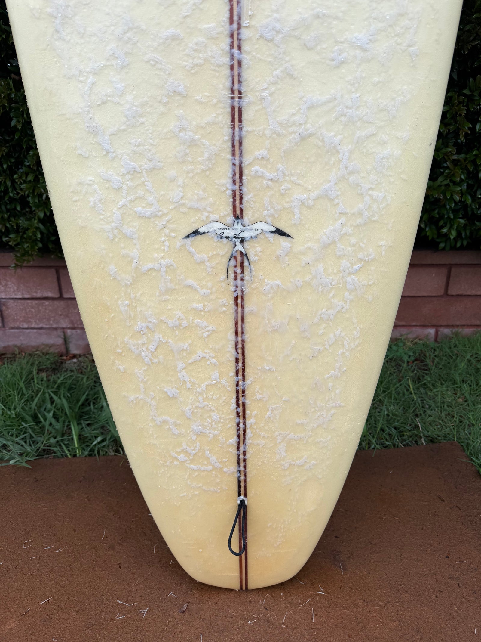 Donald Takayama 1992/93 Joel Tudor Model