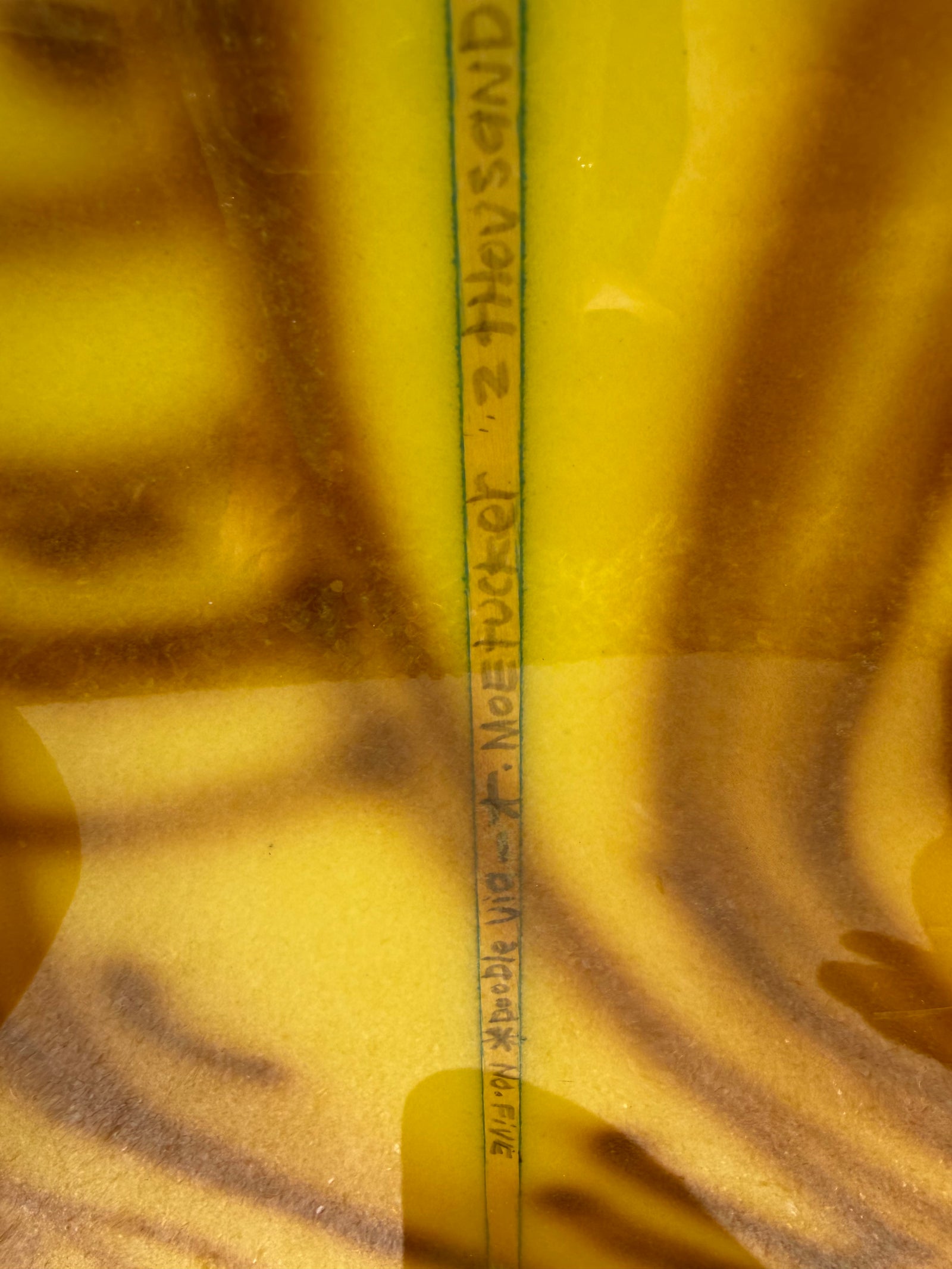 Skip Frye 6'9" x Thomas Campbell Fish from Sprout