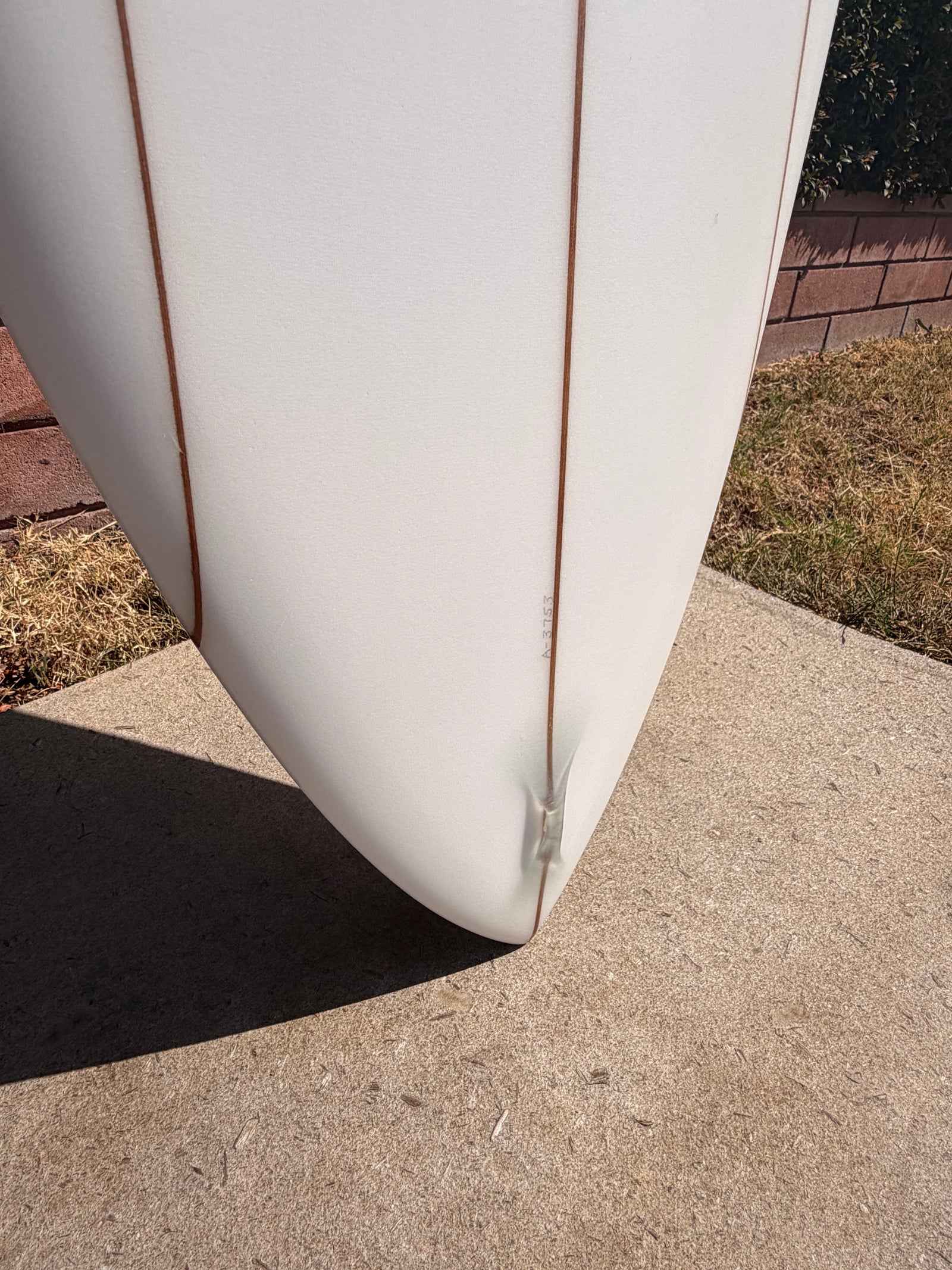Skip Frye 8’2” Mini Eagle