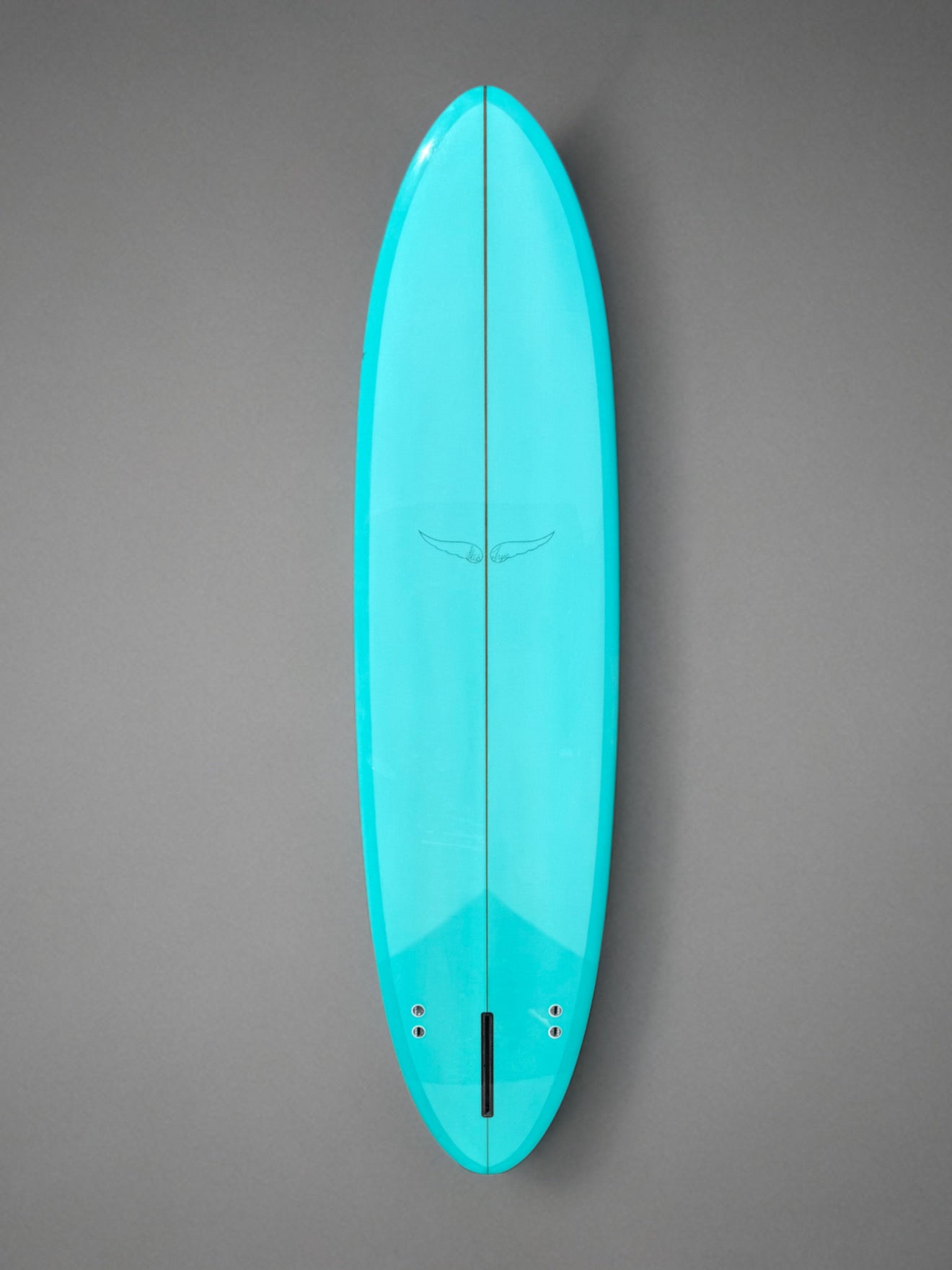 Skip Frye 8’ Egg Surfboard