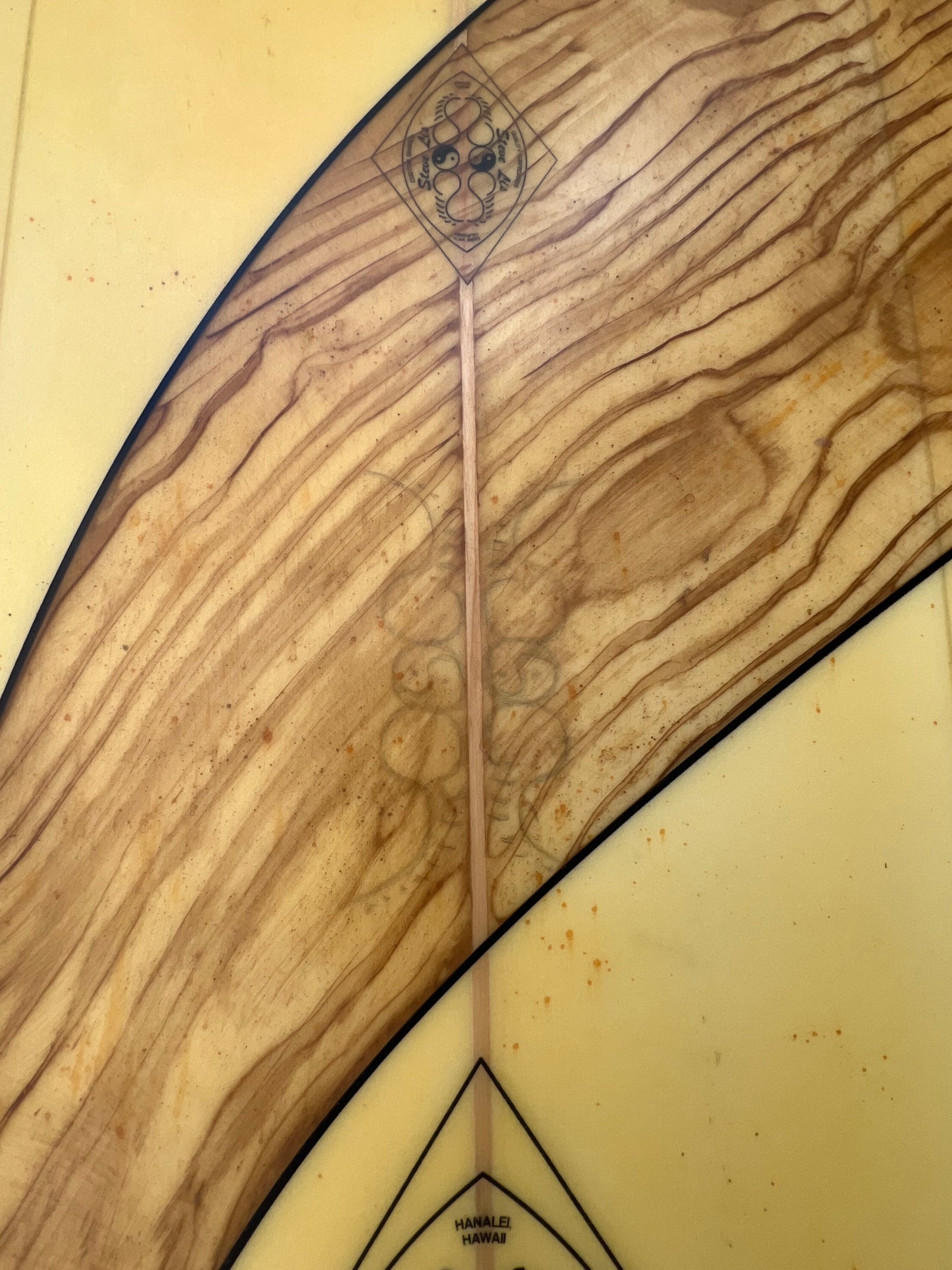 Steve Lis 5’10” Fish