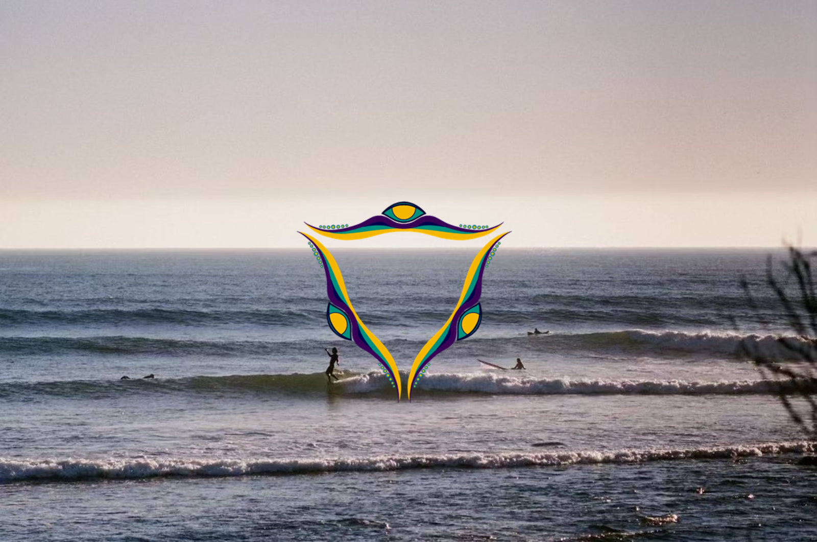 Illuminate Surfboard Fins