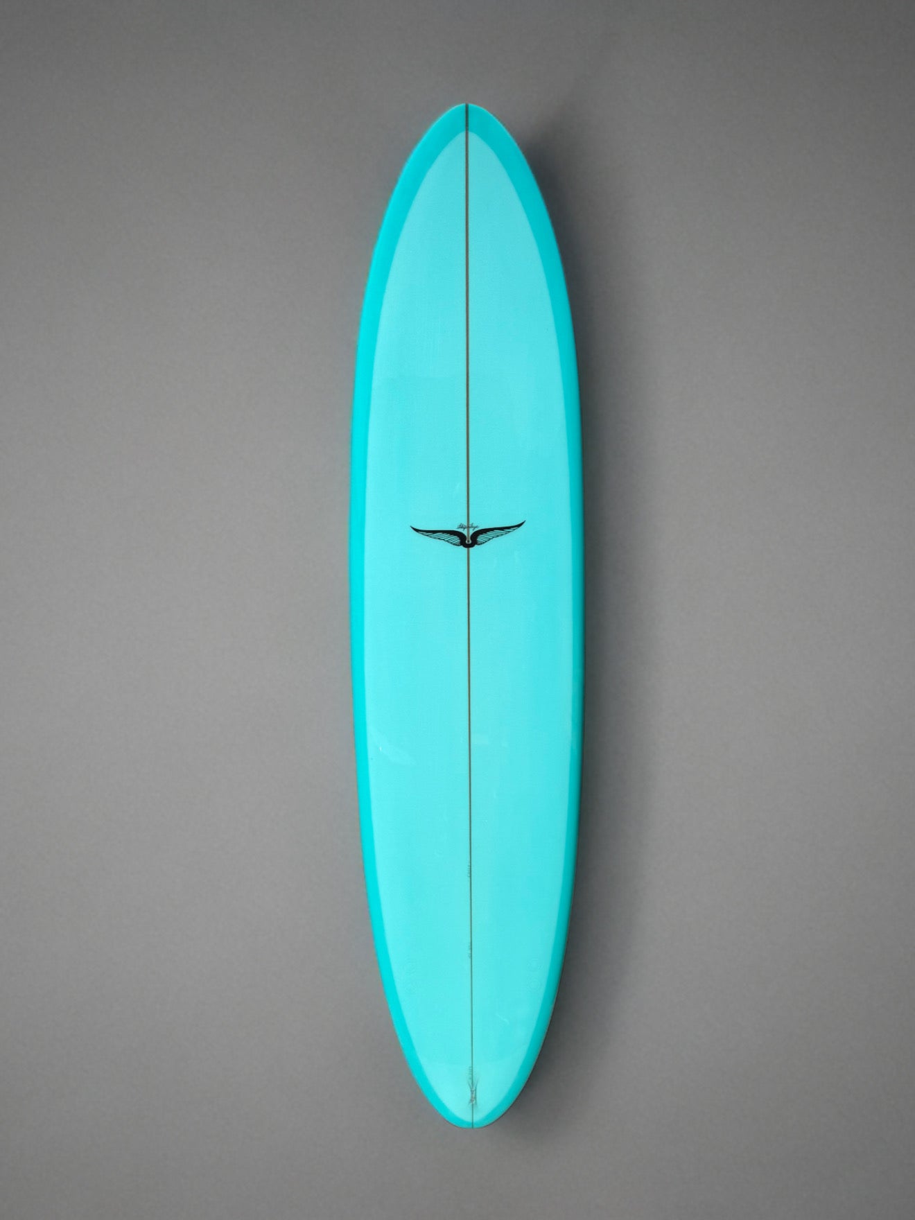 Skip Frye 8’ Egg Surfboard