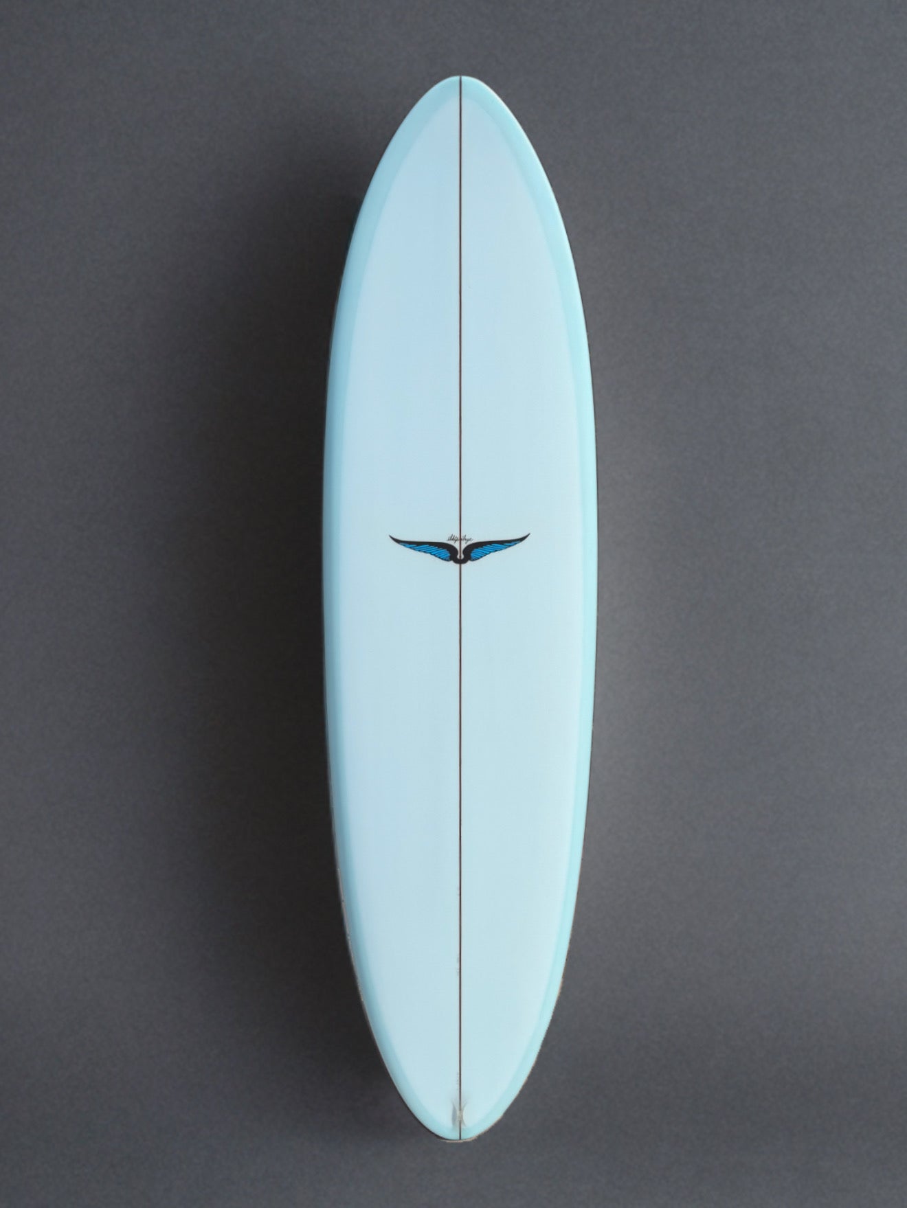Skip Frye 6’10”’Egg Surfboard