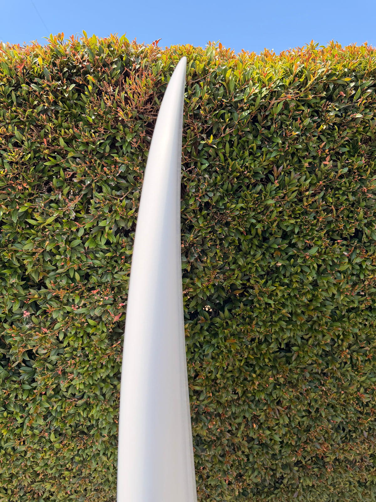 Furrow 6’4” Twinzer FP2.0