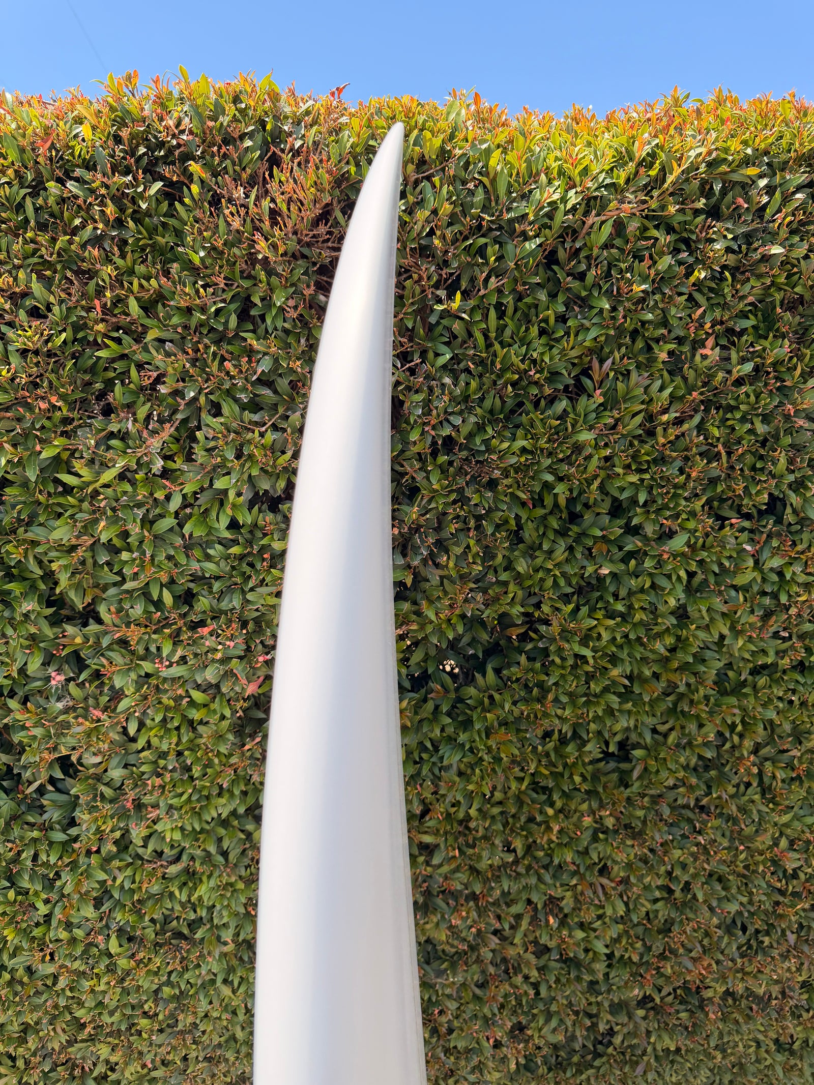 Furrow 6’4” Twinzer FP2.0