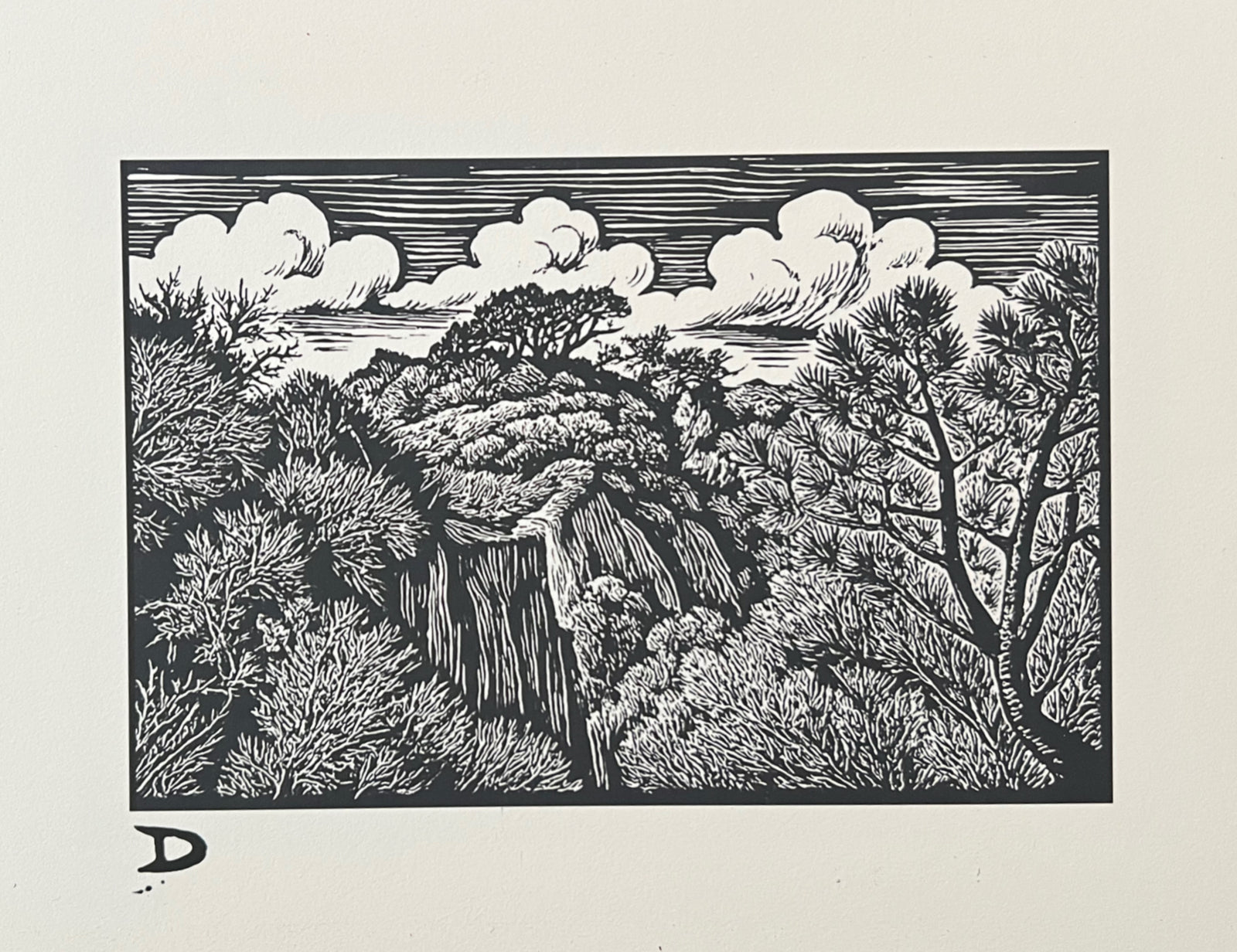 Torrey Pines Hand Carved Block Print by John Durant