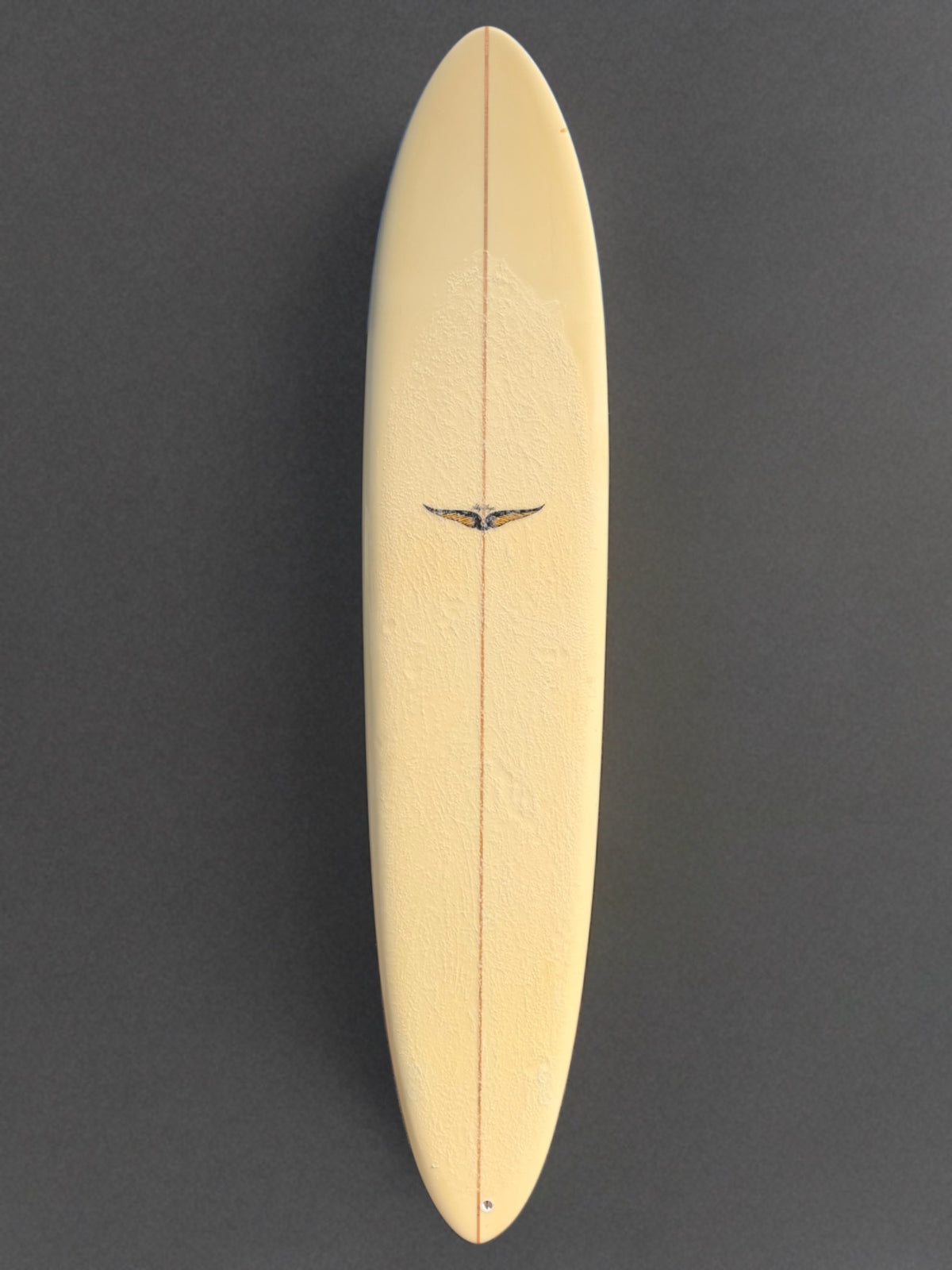 Skip Frye 9’0” Egg Surfboard