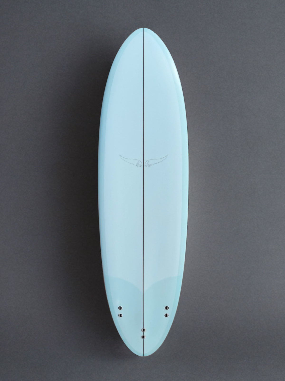 Skip Frye 6’10”’Egg Surfboard