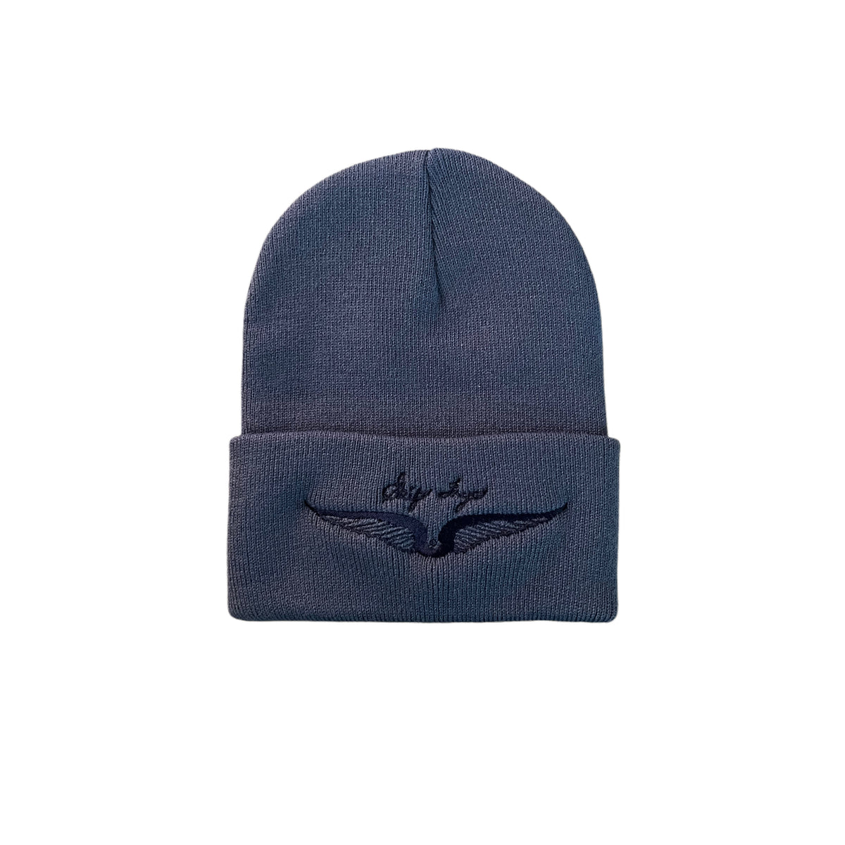 Skip Frye Beanie- Navy