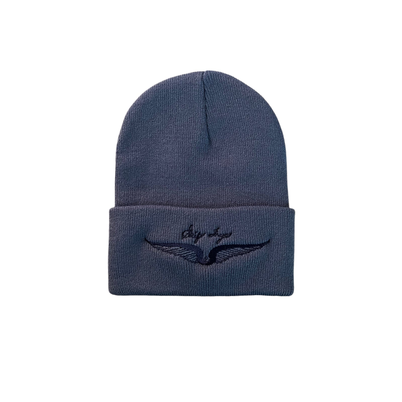 Skip Frye Beanie- Navy