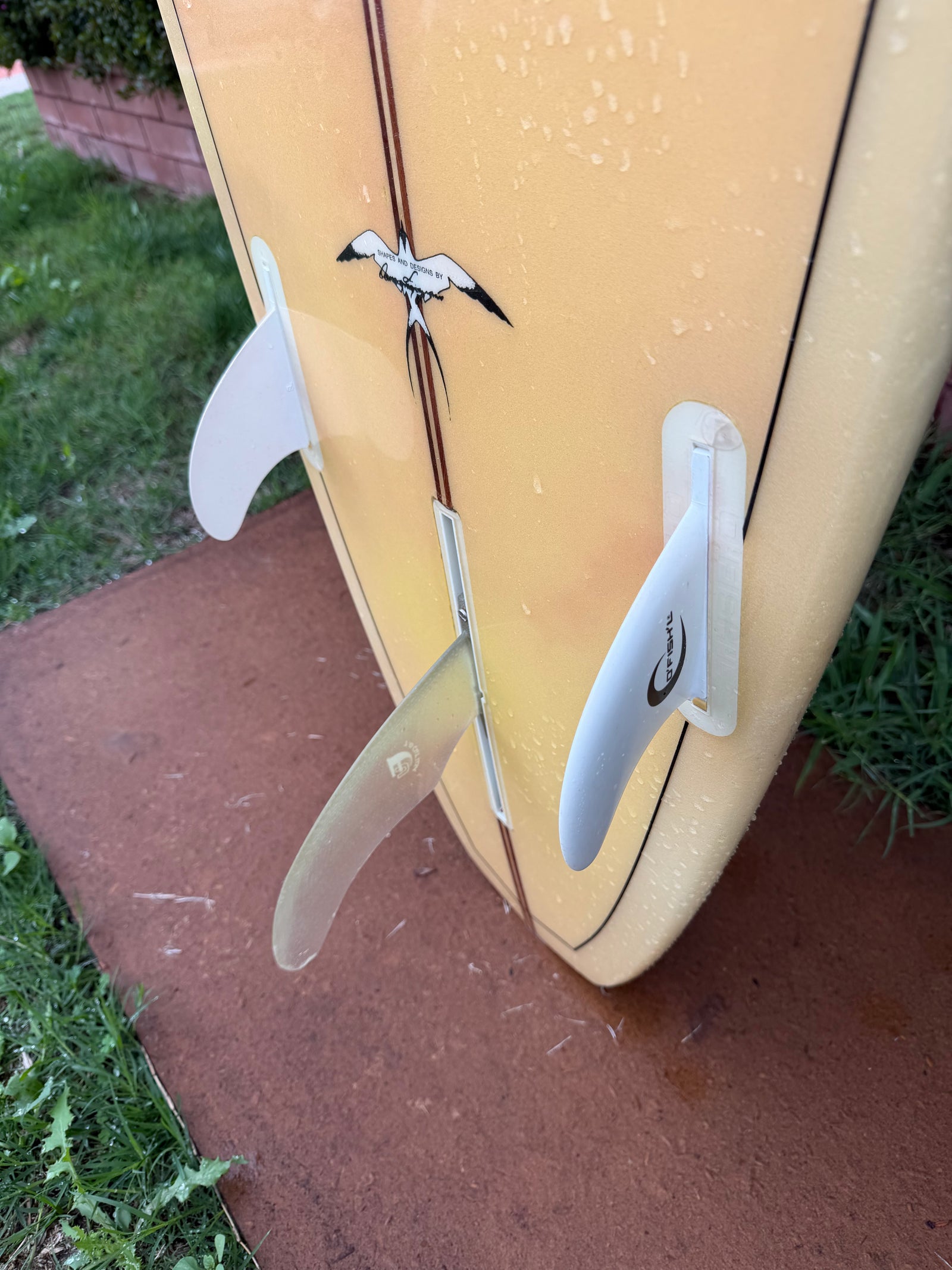 Donald Takayama 1992/93 Joel Tudor Model