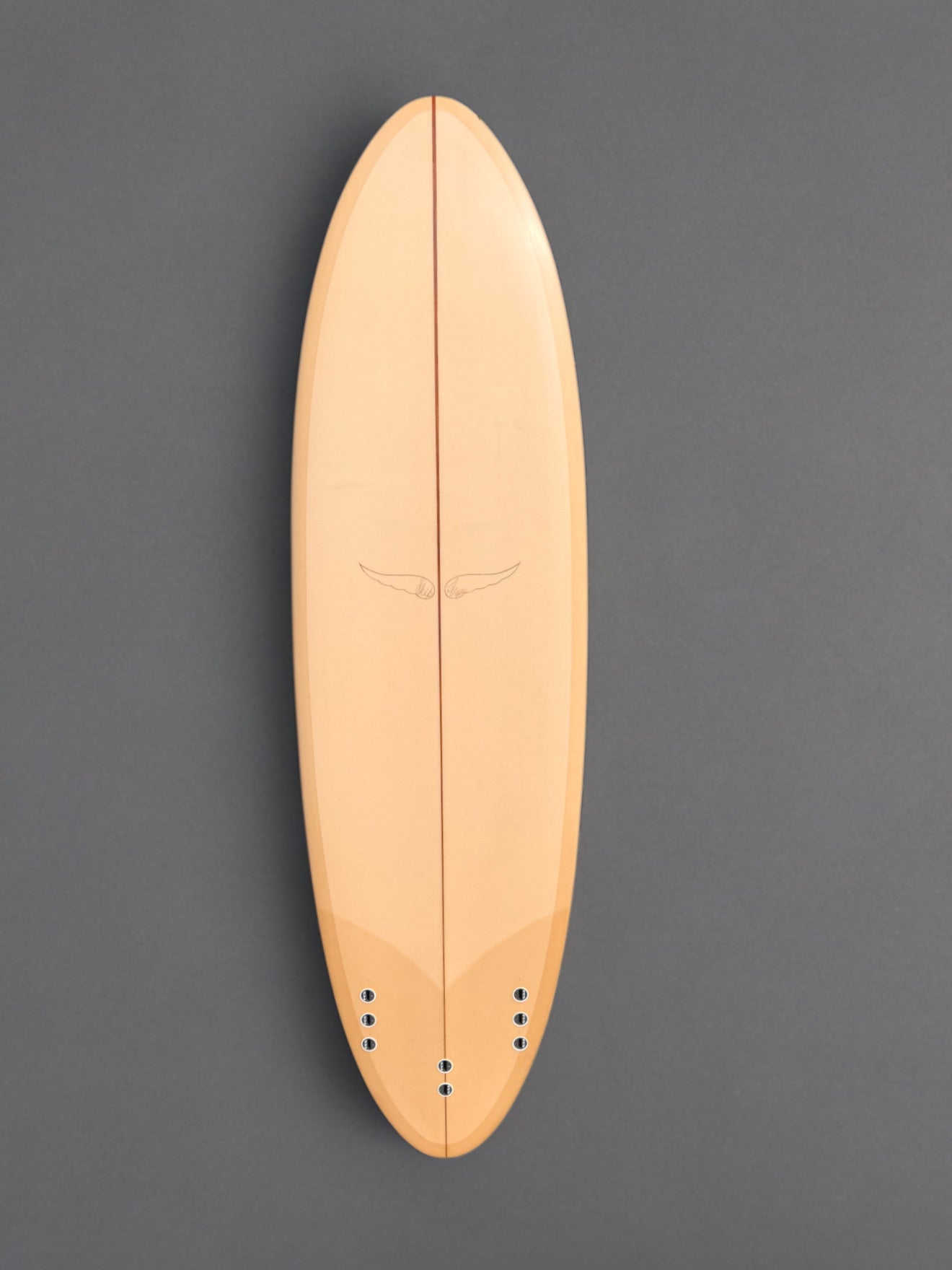 Skip Frye 6’8” Egg Surfboard