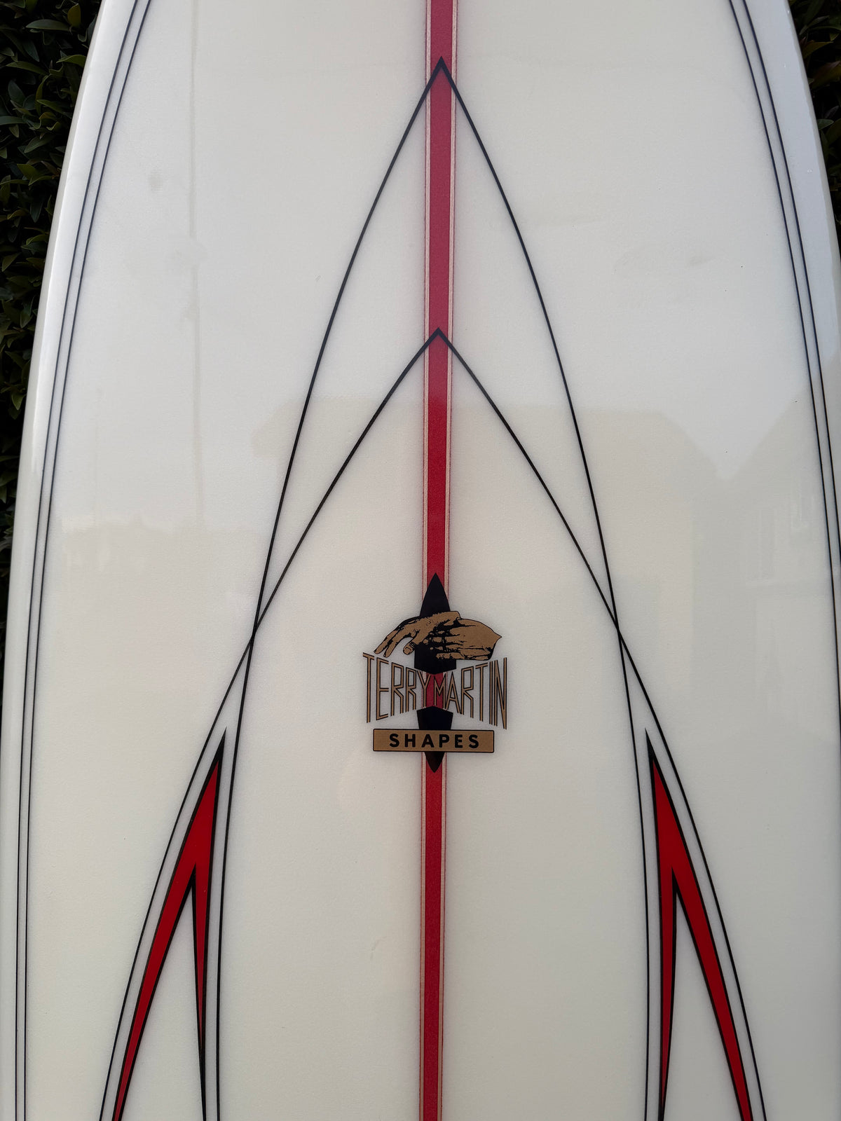 Terry Martin 6’10” Twinzer Fish