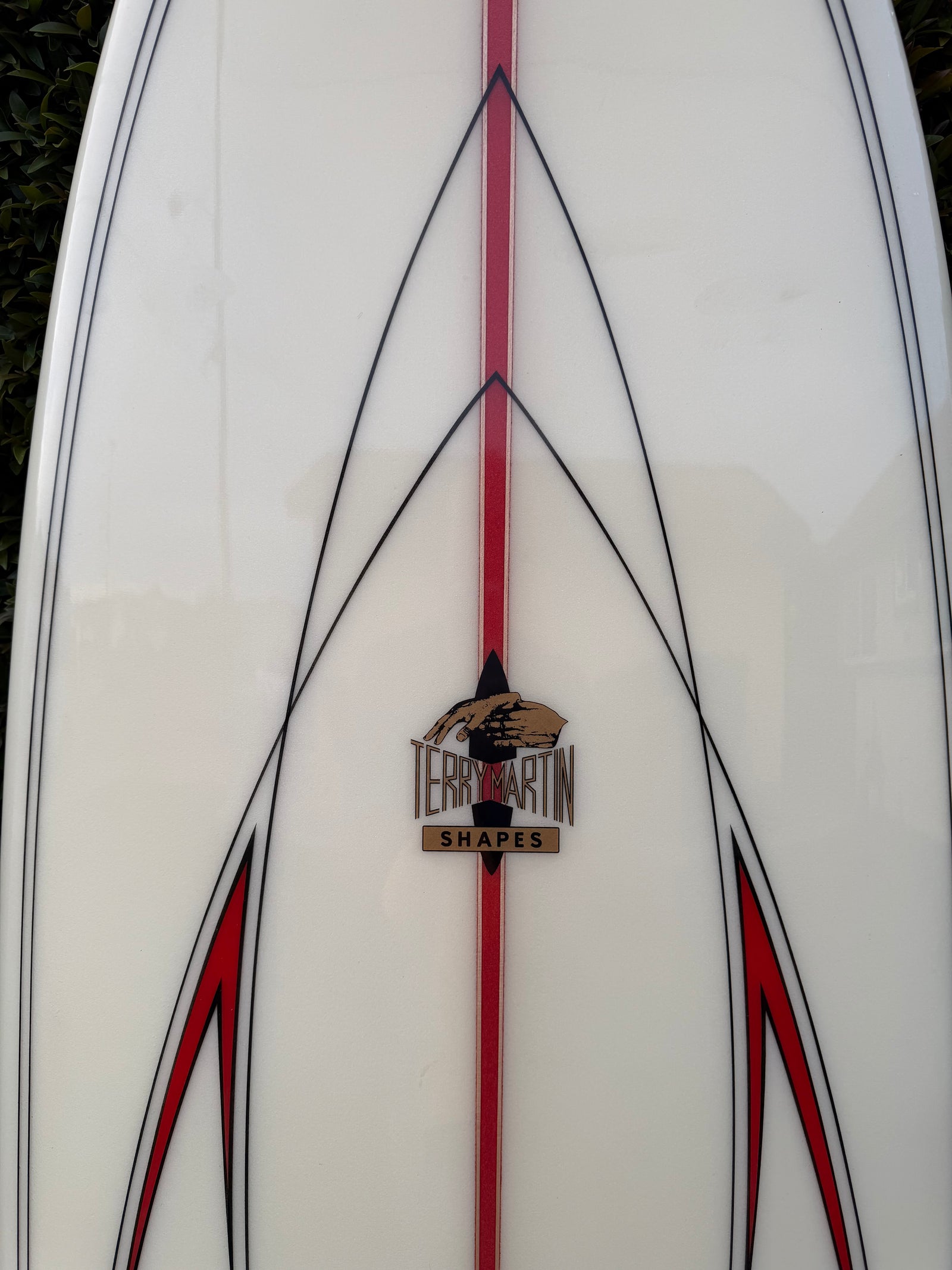 Terry Martin 6’10” Twinzer Fish