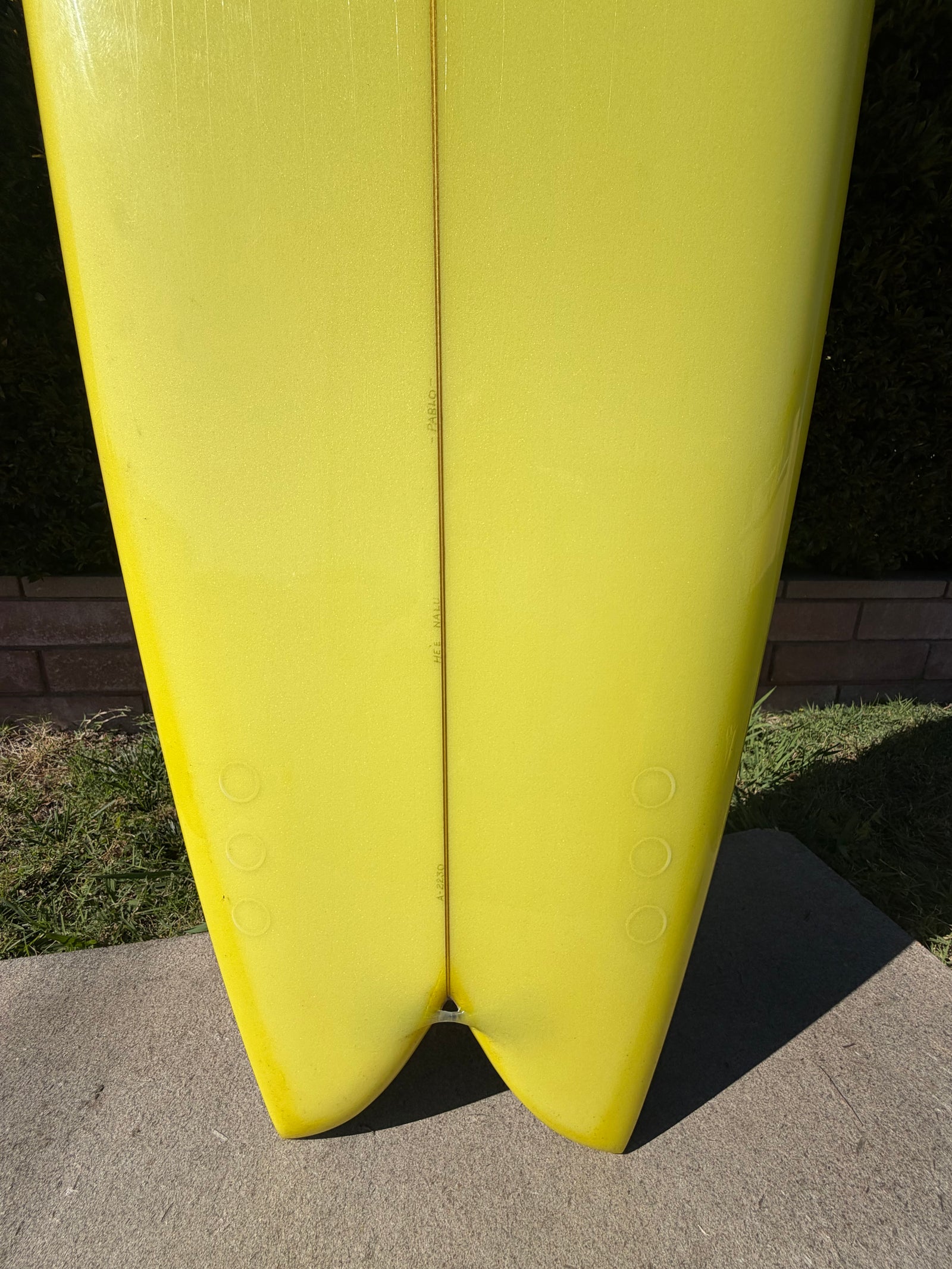 Skip Frye 6’9” DH Fish