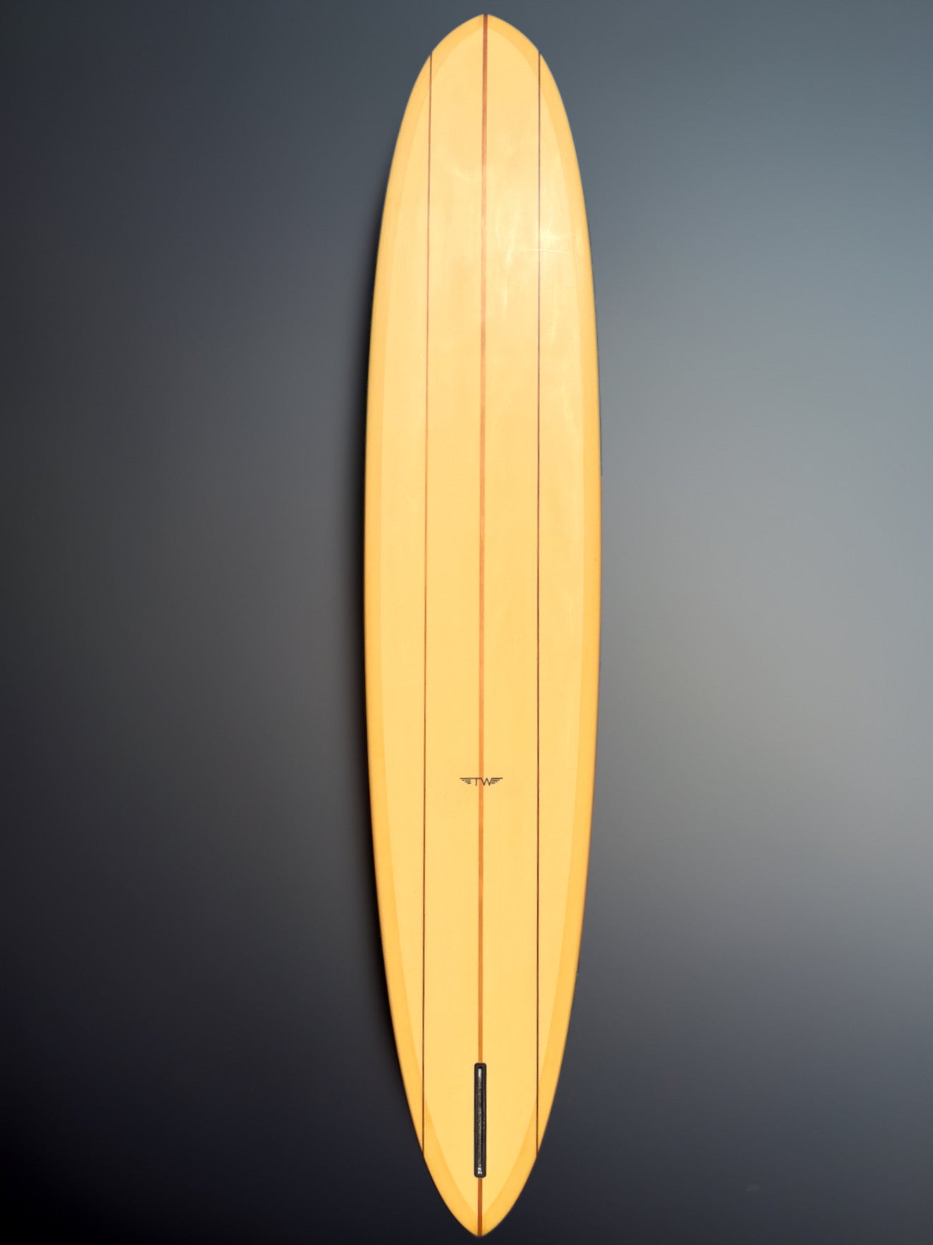 Tyler Warren 9’9” Sunset Glider Surfboard