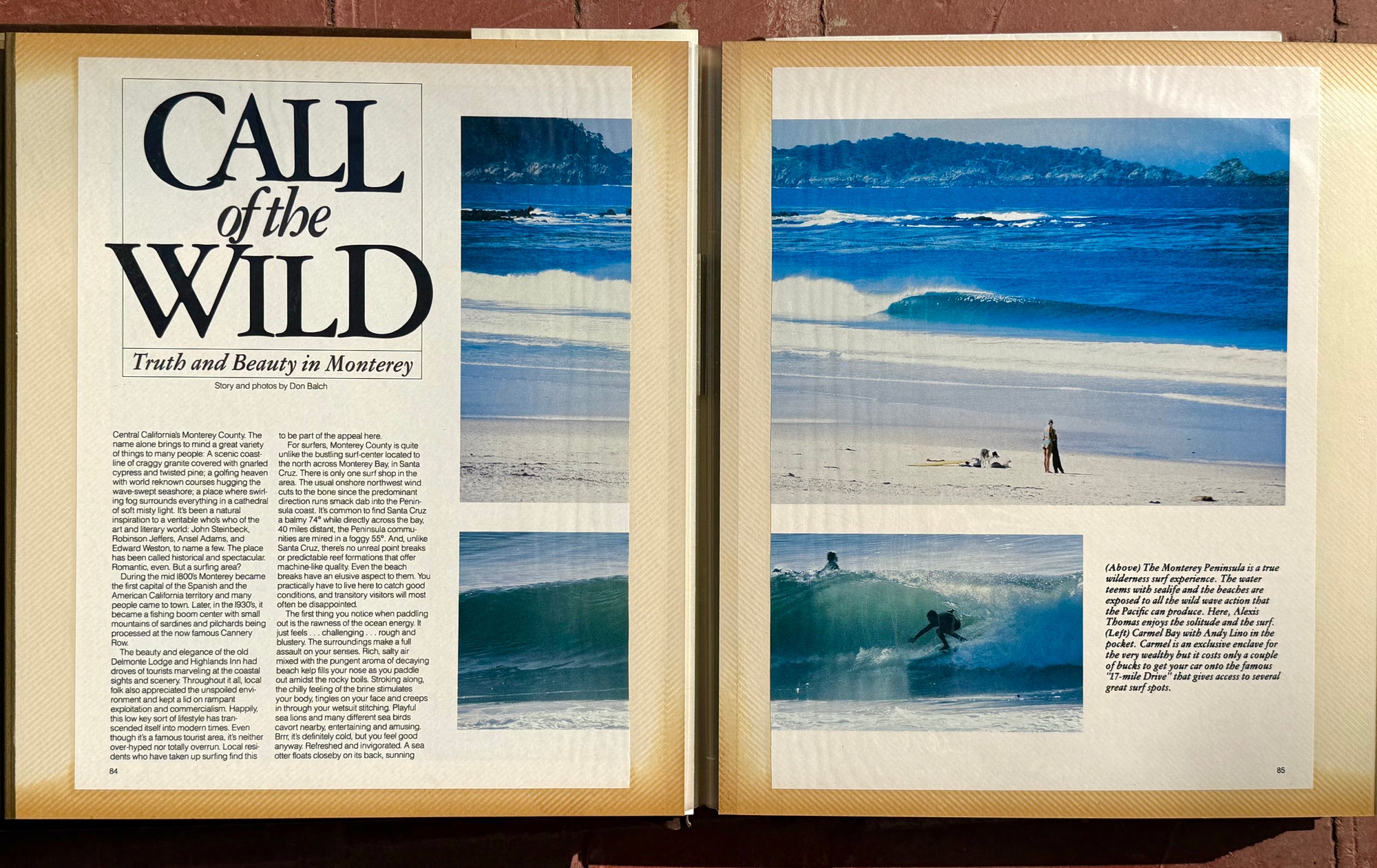 Don Balch “Somewhere on the Centeal Coast” Image on Metal