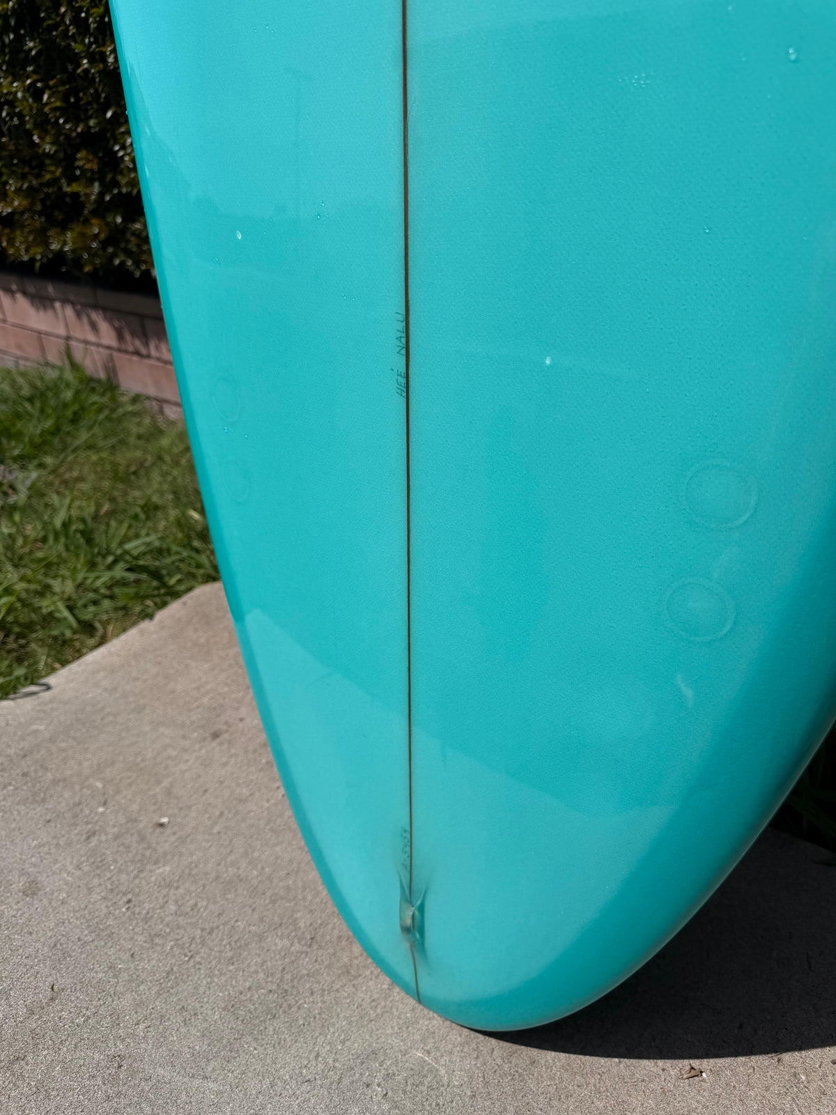 Skip Frye 8’ Egg Surfboard