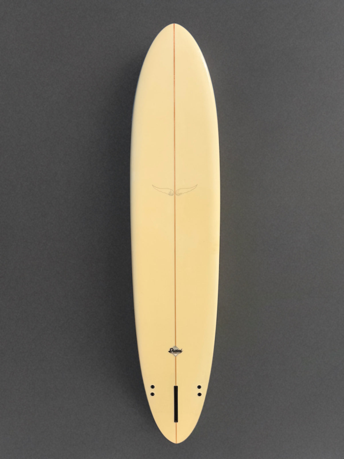 Skip Frye 9’0” Egg Surfboard
