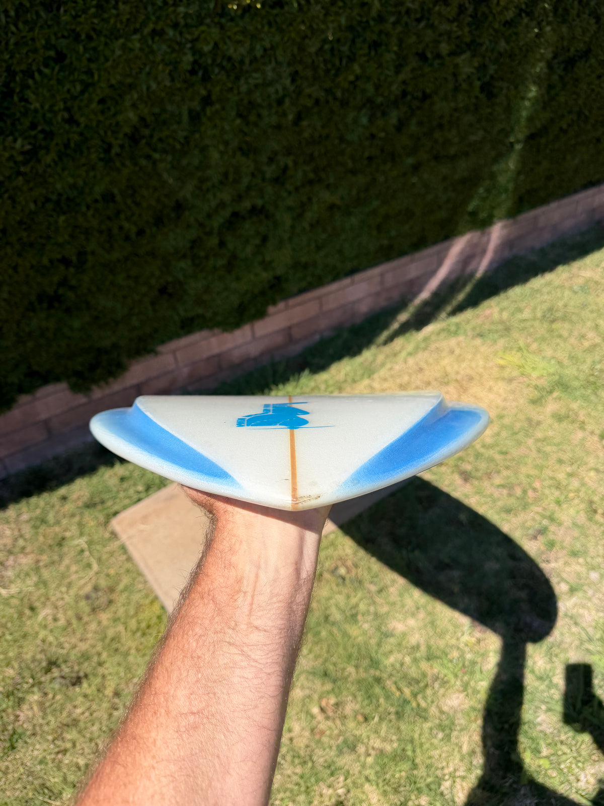 Wilderness 7’4” Edgeboard