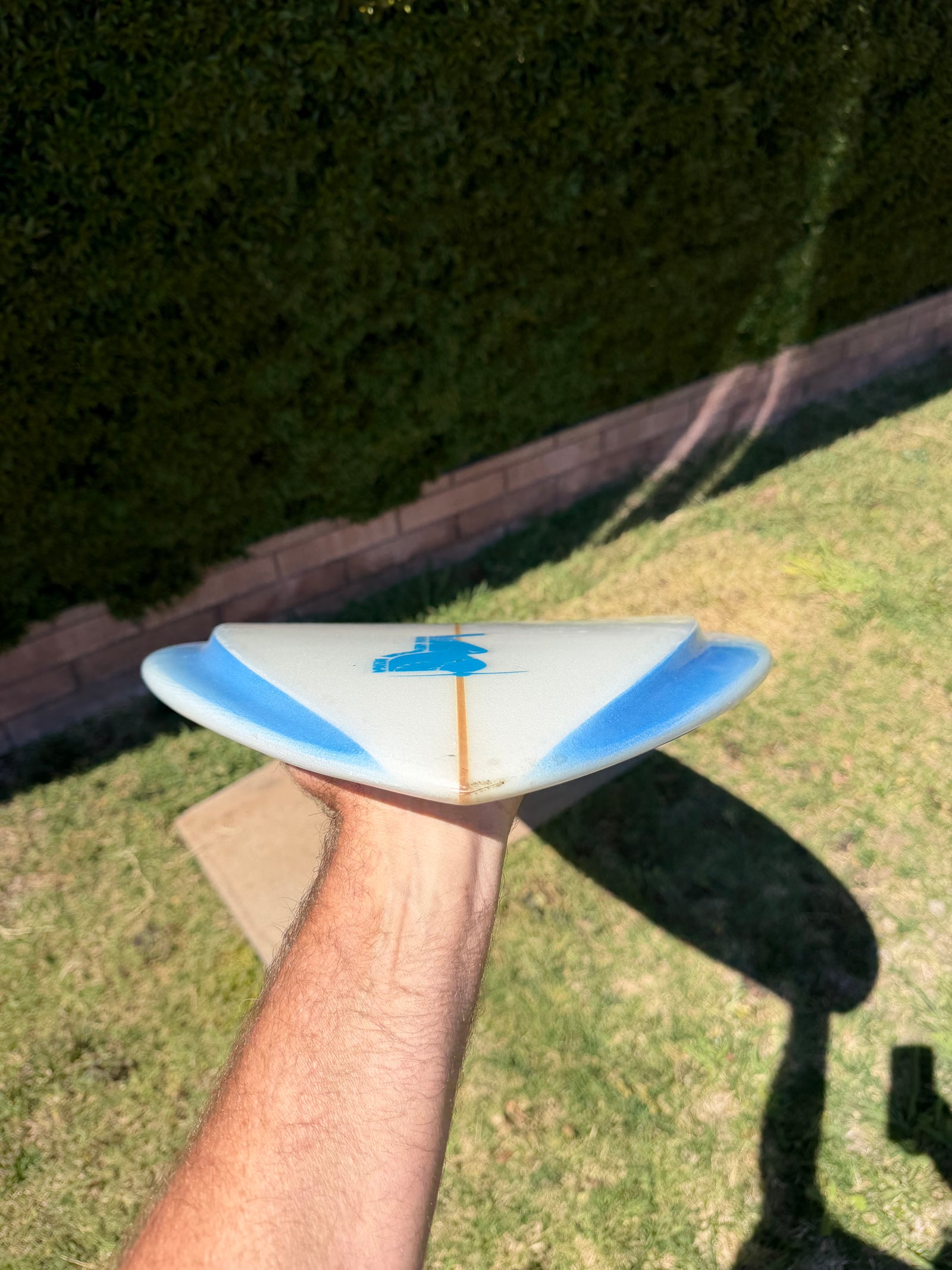 Wilderness 7’4” Edgeboard