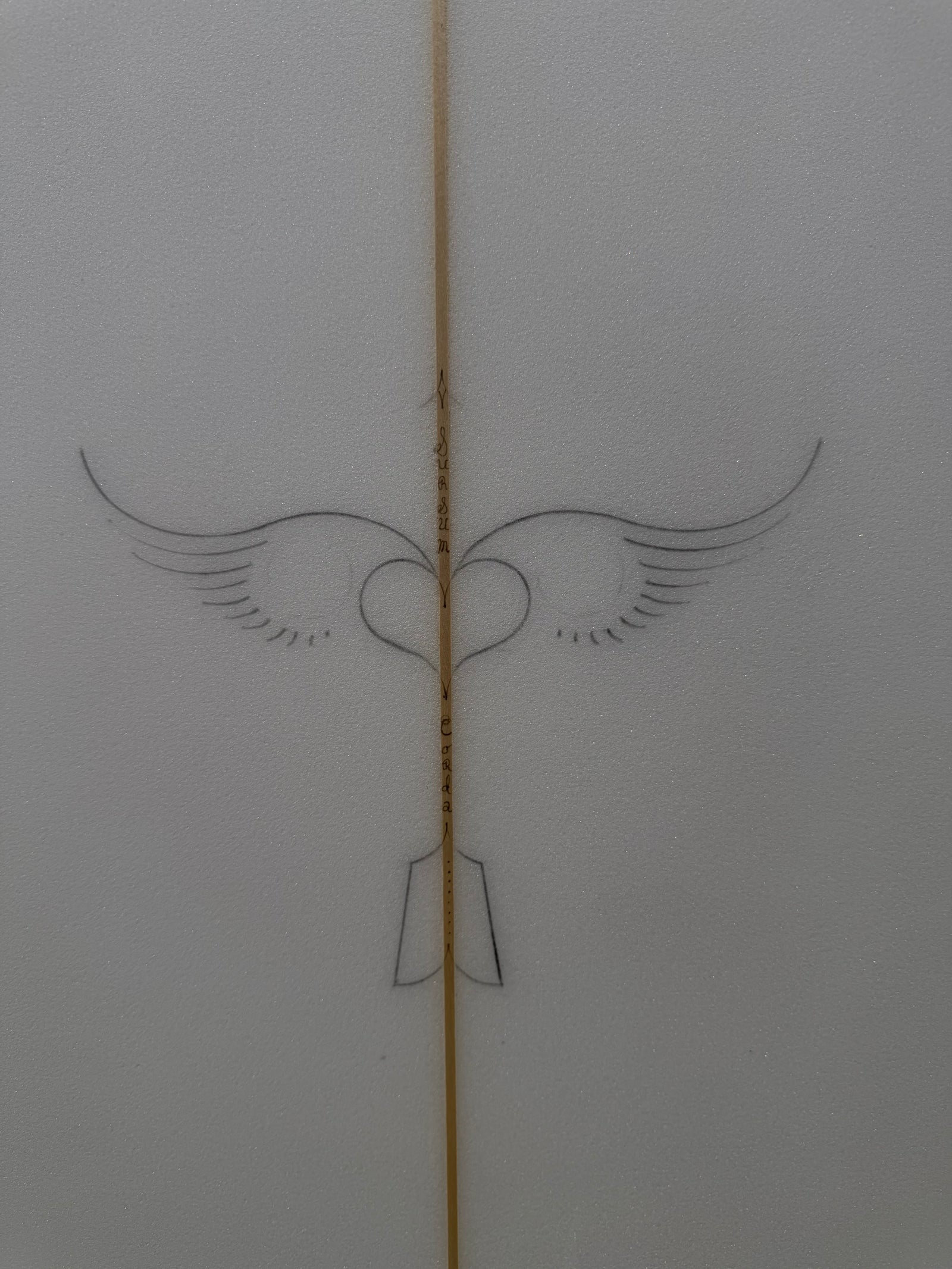 Rich Pavel 6’7” Rocket Fish