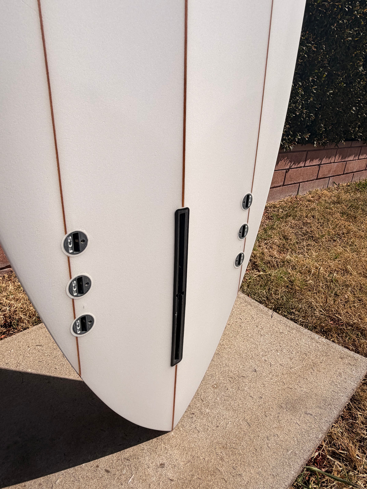 Skip Frye 8’2” Mini Eagle