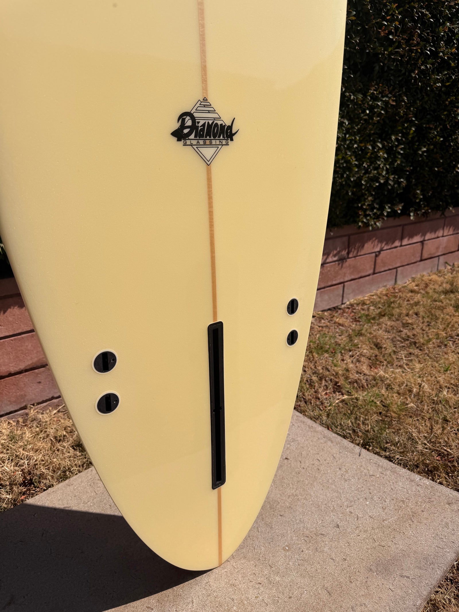 Skip Frye 9’0” Egg Surfboard