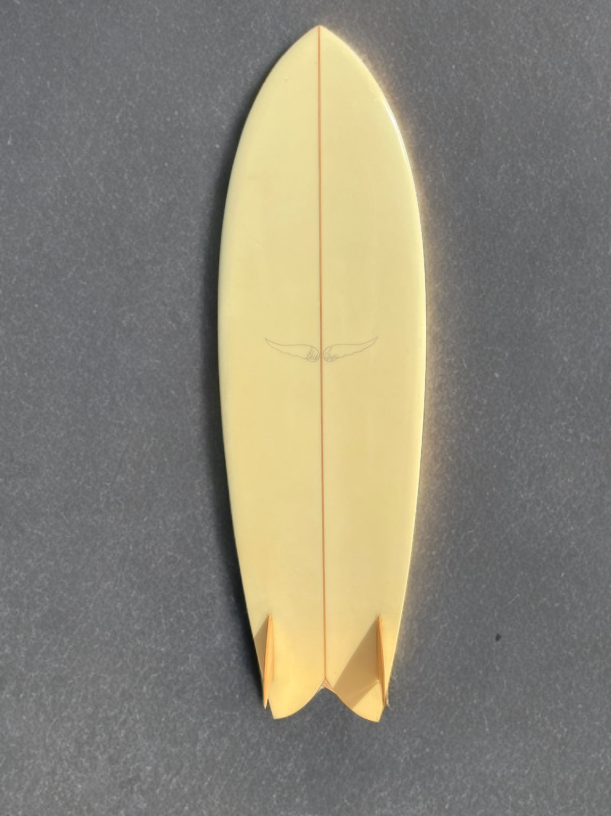 Skip Frye 6’ Fish Sufboard