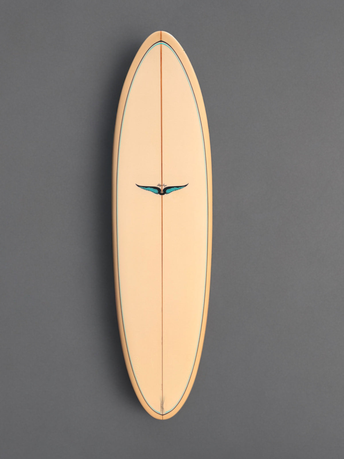 Skip Frye 6’8” Egg Surfboard