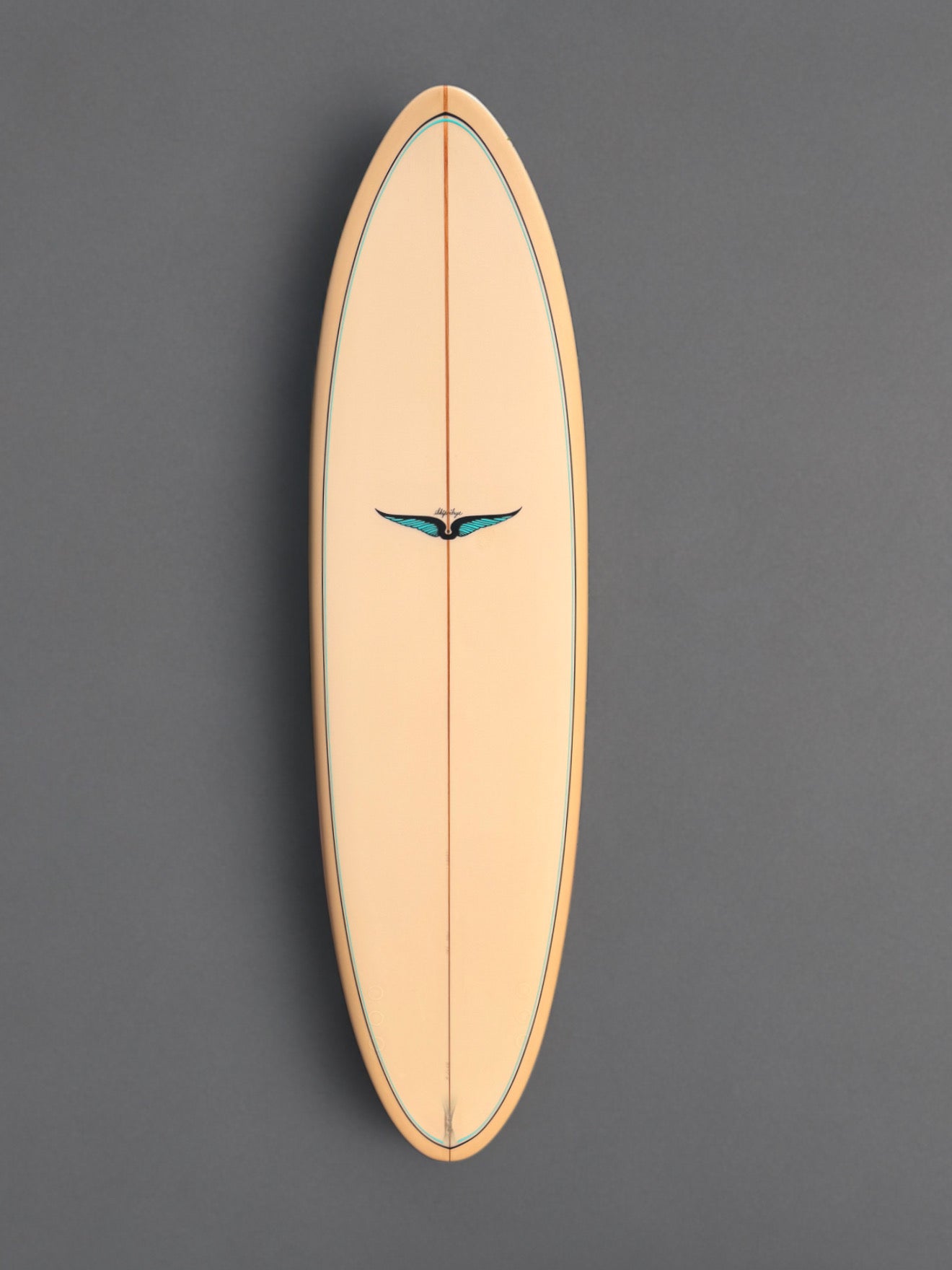 Skip Frye 6’8” Egg Surfboard