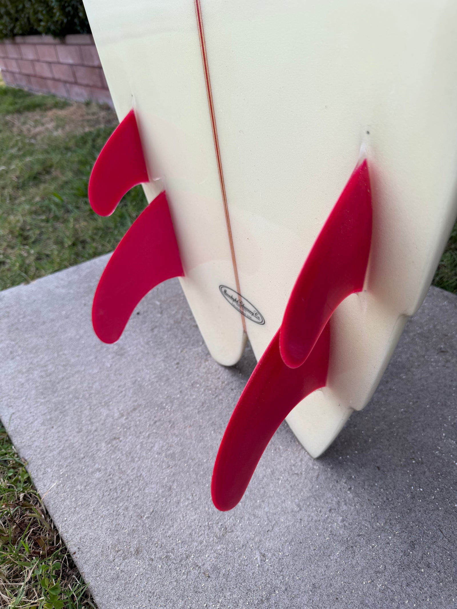 Terry Martin 6’10” Twinzer Fish