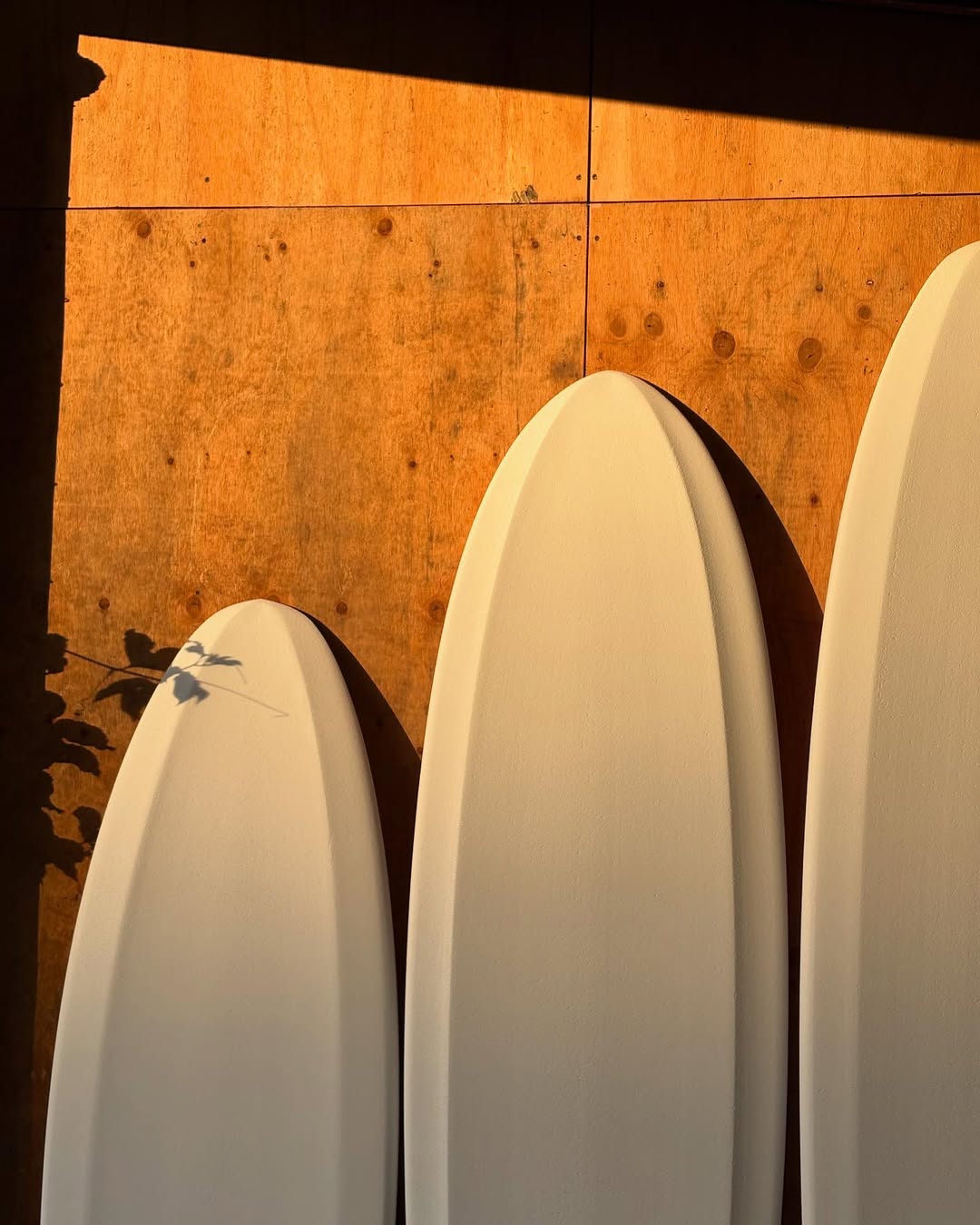 Ellis Ericson 6’6” EPS Lite Kite  Surfboard