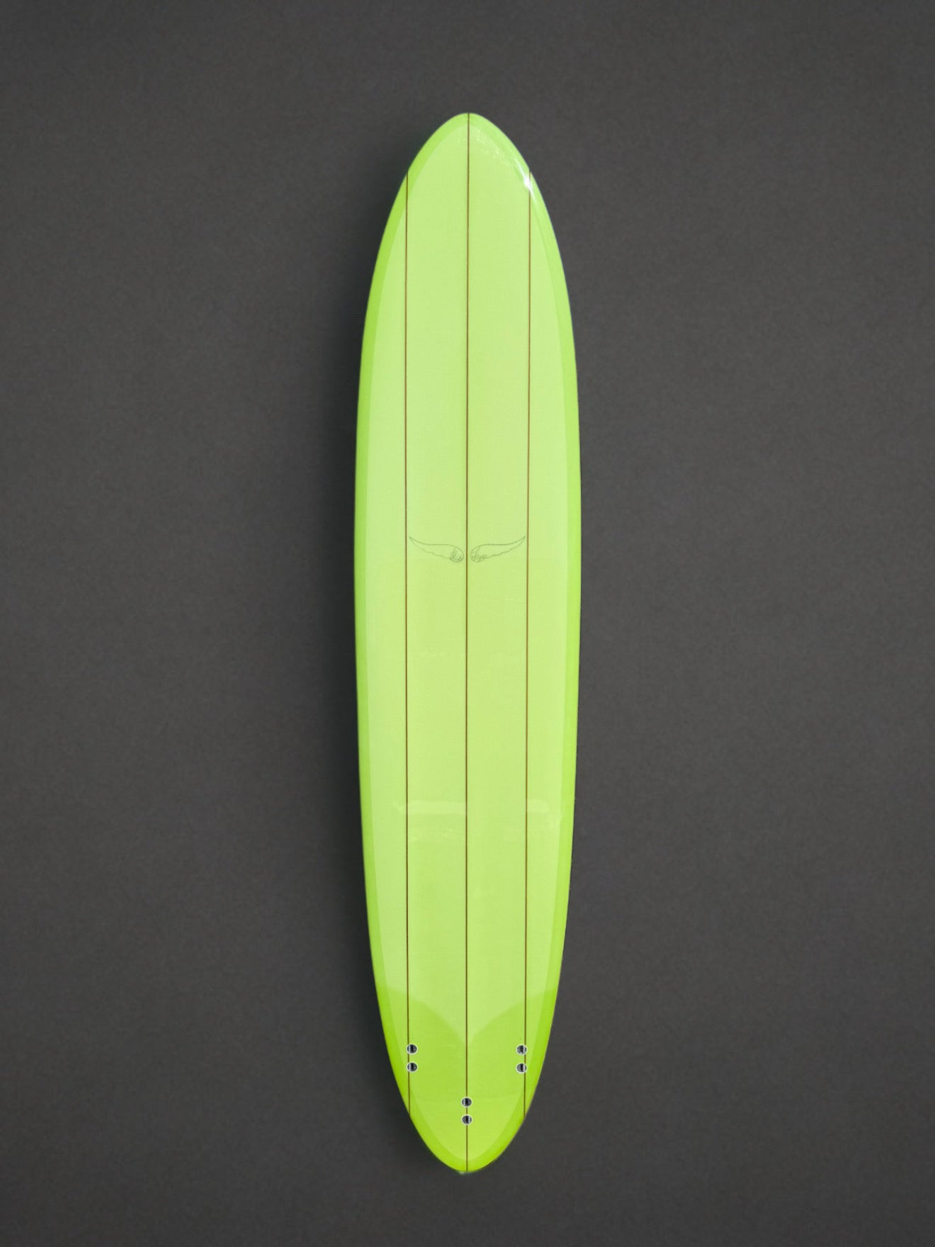 Skip Frye 9’2” Egg Surfboard