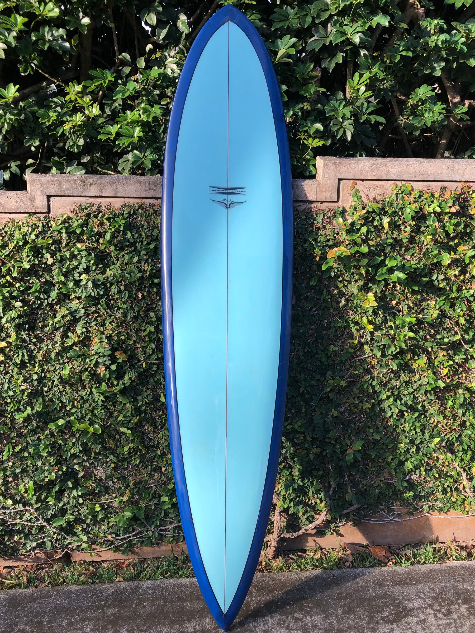 Skip Frye 8' G&S Baby Gun Surfboard